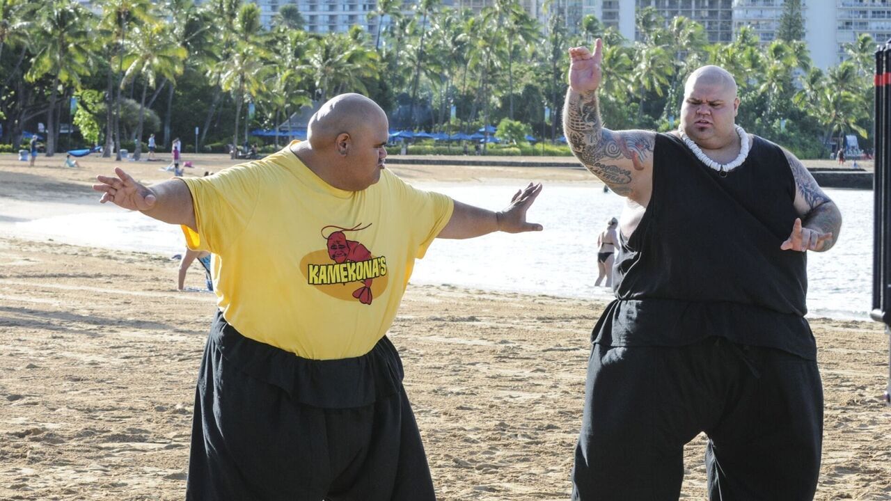 Vignette du programme télé Hawaii 5-0