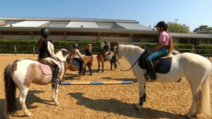 Vignette du programme télé Au galop ! S6 (n°9)