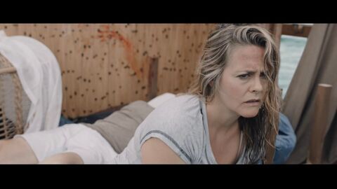 Vignette du programme télé The Requin