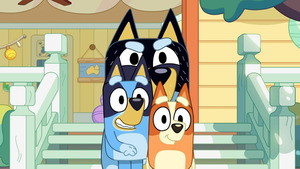 Vignette du programme télé Bluey (Les exercices) S3 (39/50)