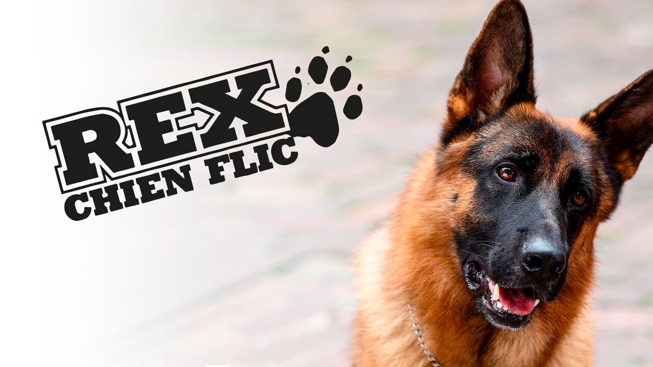 Vignette du programme télé Rex, chien flic