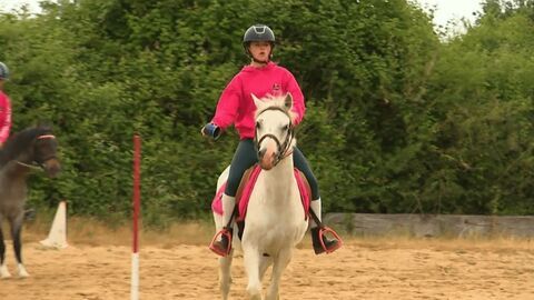 Vignette du programme télé Au galop !