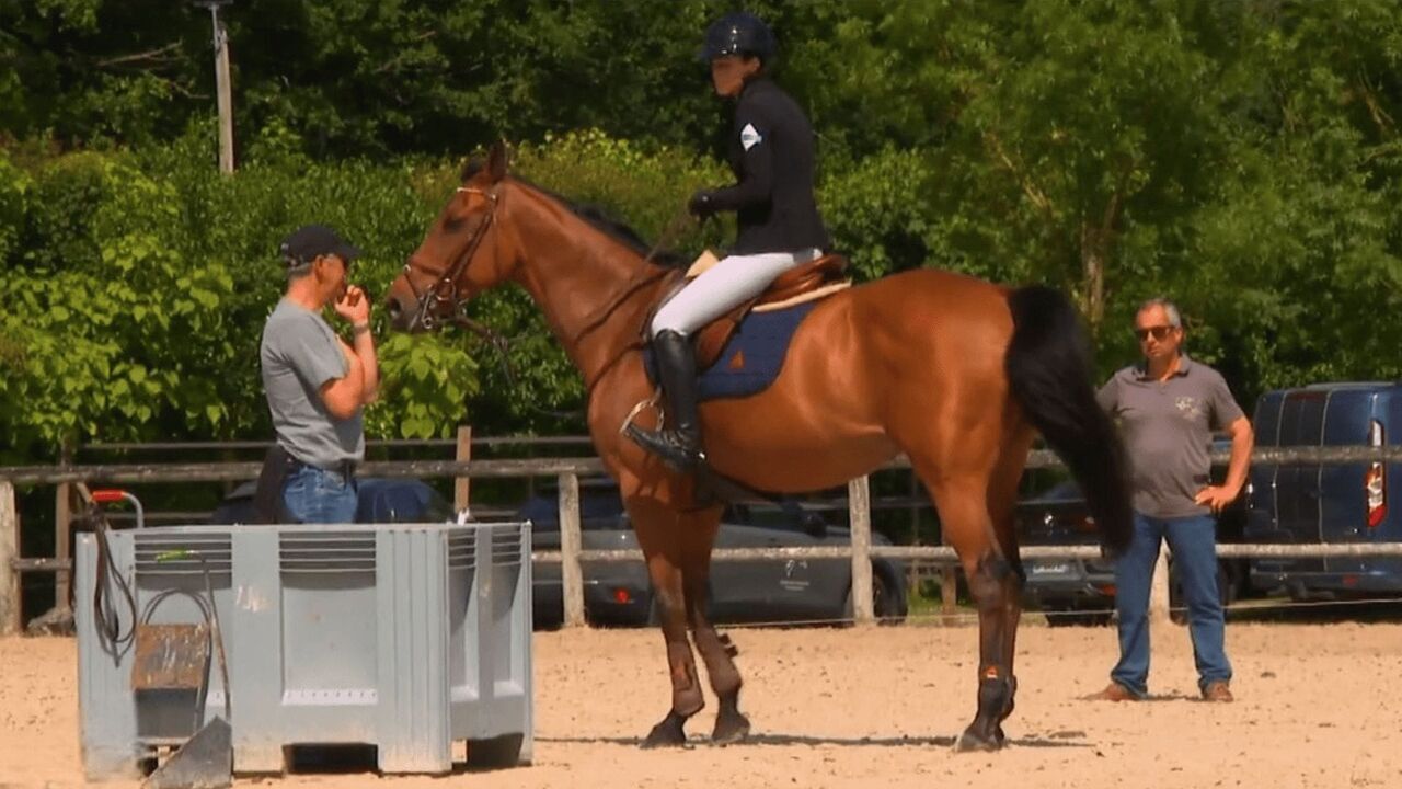 Vignette du programme télé Au galop !