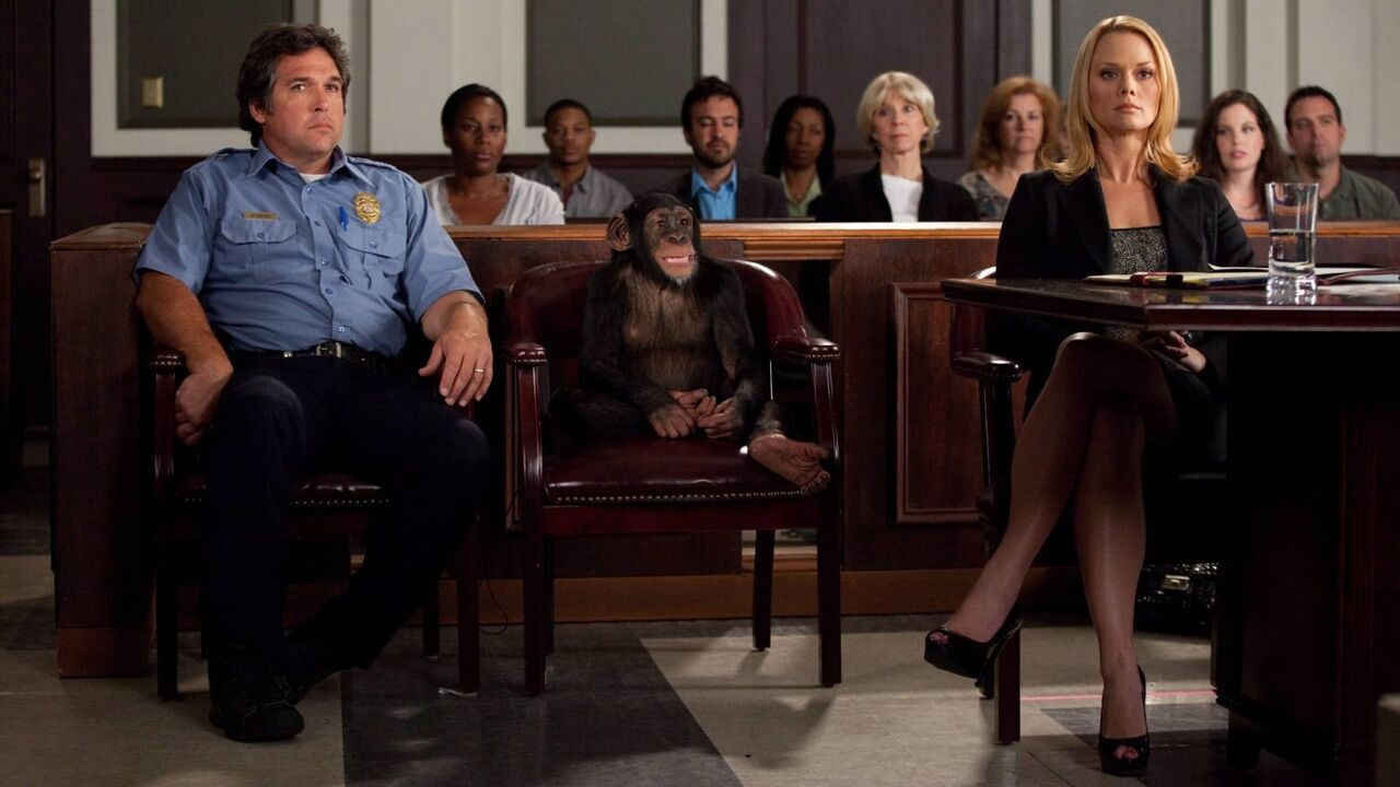 Vignette du programme télé Drop Dead Diva