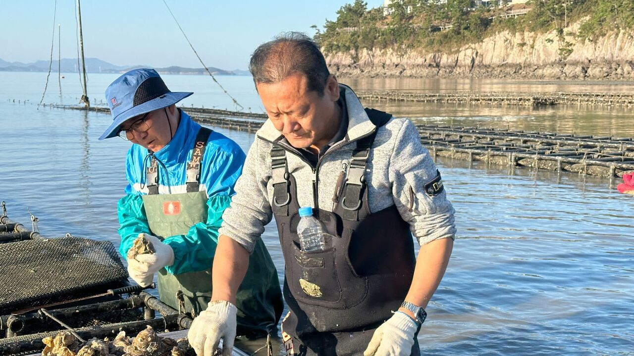Vignette du programme télé La Corée du Sud, un joyau de la nature