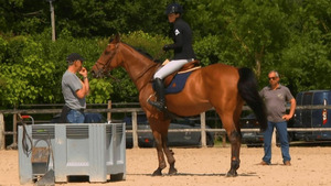 Vignette du programme télé Au galop ! S6 (n°13)
