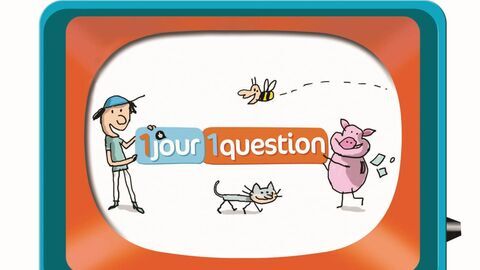 Vignette du programme télé Un jour, une question