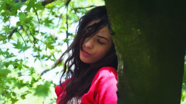 Vignette du programme télé La fille publique
