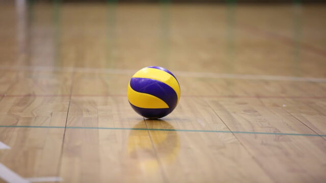 Vignette du programme télé Volley-ball : Championnat d'Europe masculin