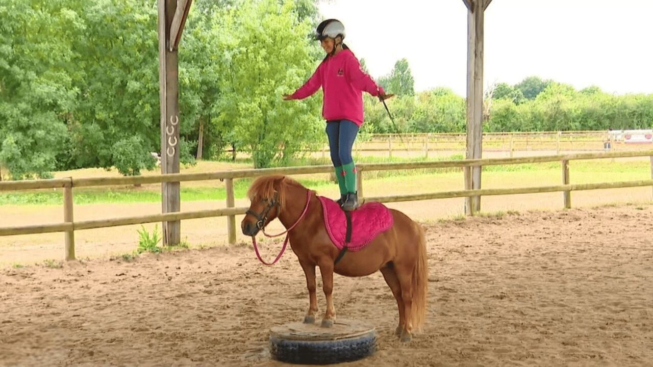 Vignette du programme télé Au galop !