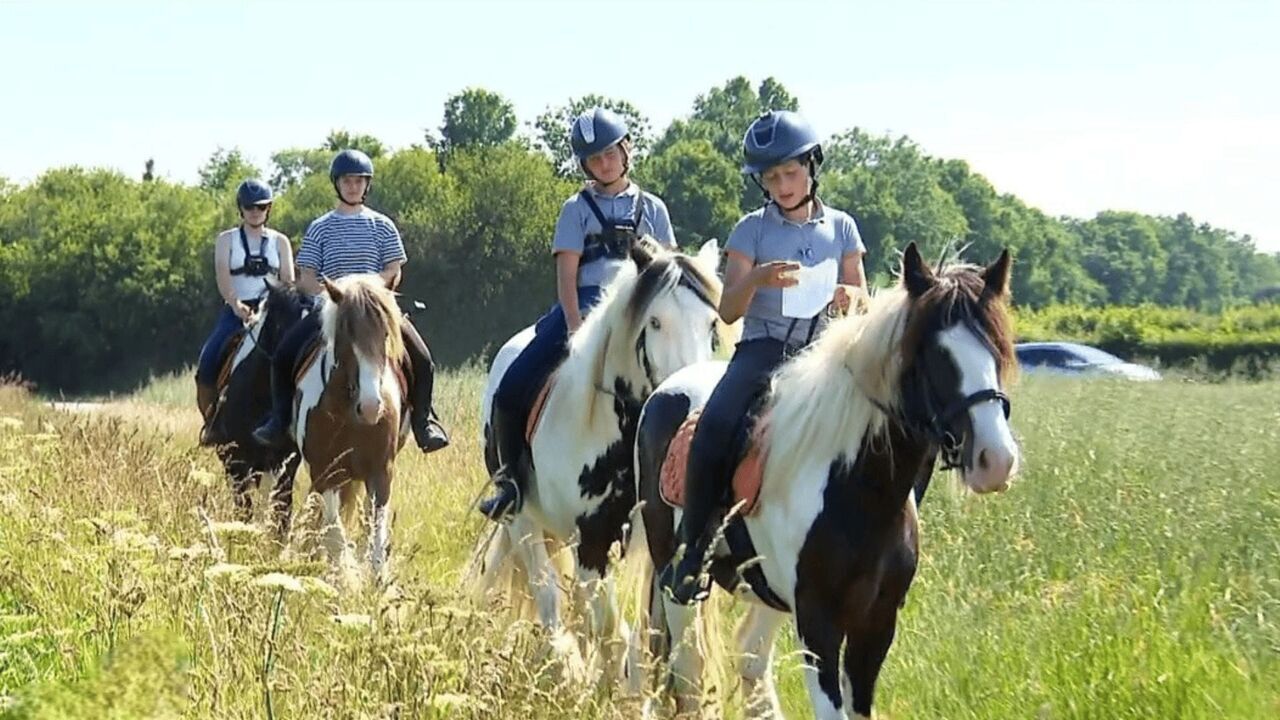 Vignette du programme télé Au galop !