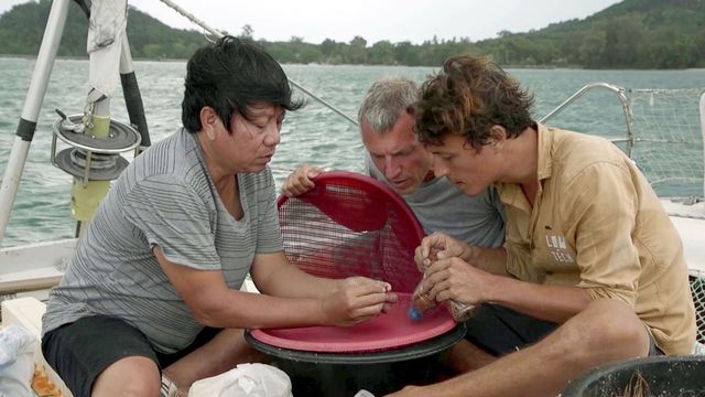 Vignette du programme télé Nomade des mers, les escales de l'innovation - Saison 1