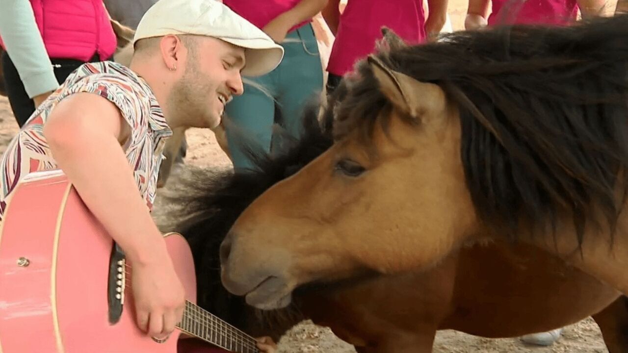 Vignette du programme télé Au galop !