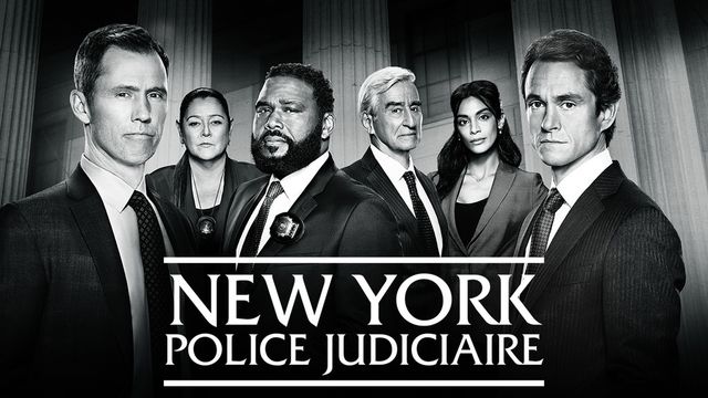 Vignette du programme télé New York police judiciaire - Saison 22