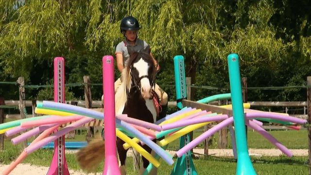 Vignette du programme télé Au galop ! - Saison 6