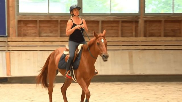Vignette du programme télé Au galop ! - Saison 6