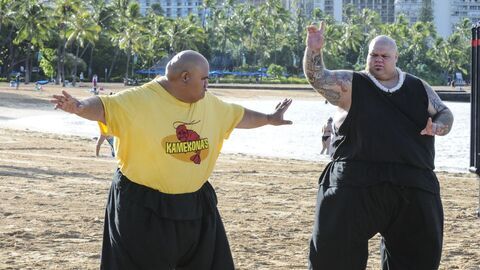 Vignette du programme télé Hawaii 5-0
