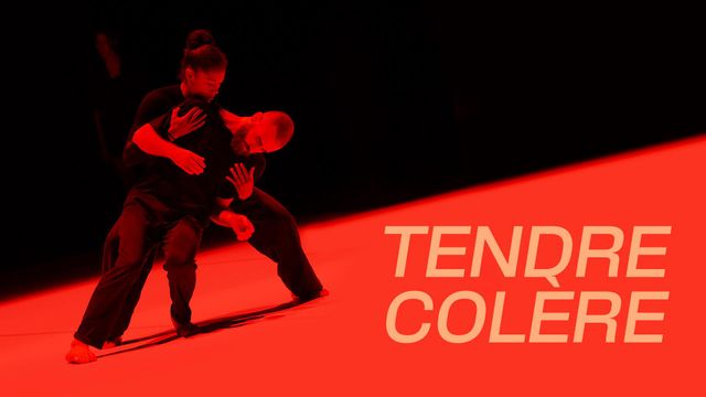 Vignette du programme télé Suresnes cité danses, Tendre colère
