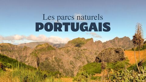 Vignette du programme télé Les parcs naturels portugais