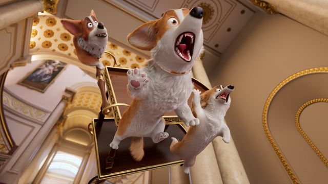 Vignette du programme télé Royal Corgi