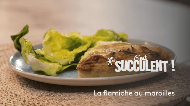 Vignette du programme télé C'est succulent !