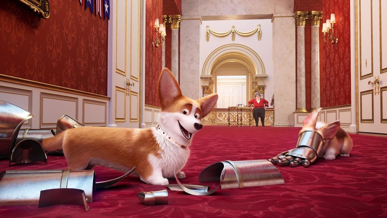 Vignette du programme télé Royal Corgi
