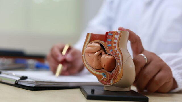 Vignette du programme télé Sauver bébé dans le ventre de sa mère