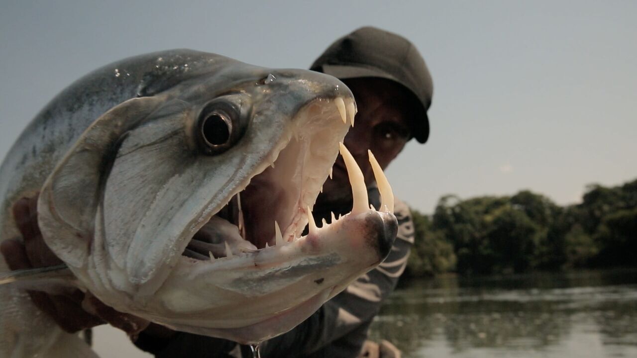 Vignette du programme télé Pêche XXL