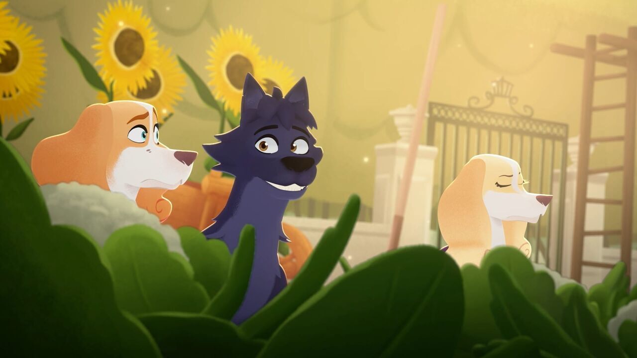 Vignette du programme télé Belfort & Lupin