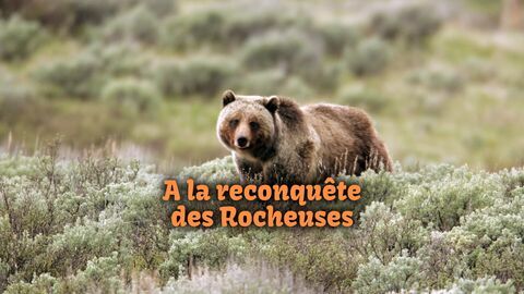 Vignette du programme télé A la reconquête des Rocheuses