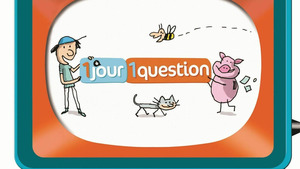Vignette du programme télé Un jour, une question