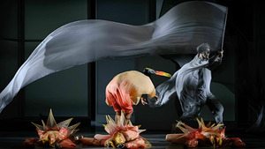 Vignette du programme télé Ravel : la grande soirée de ballets