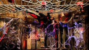 Vignette du programme télé Fort Boyard S37