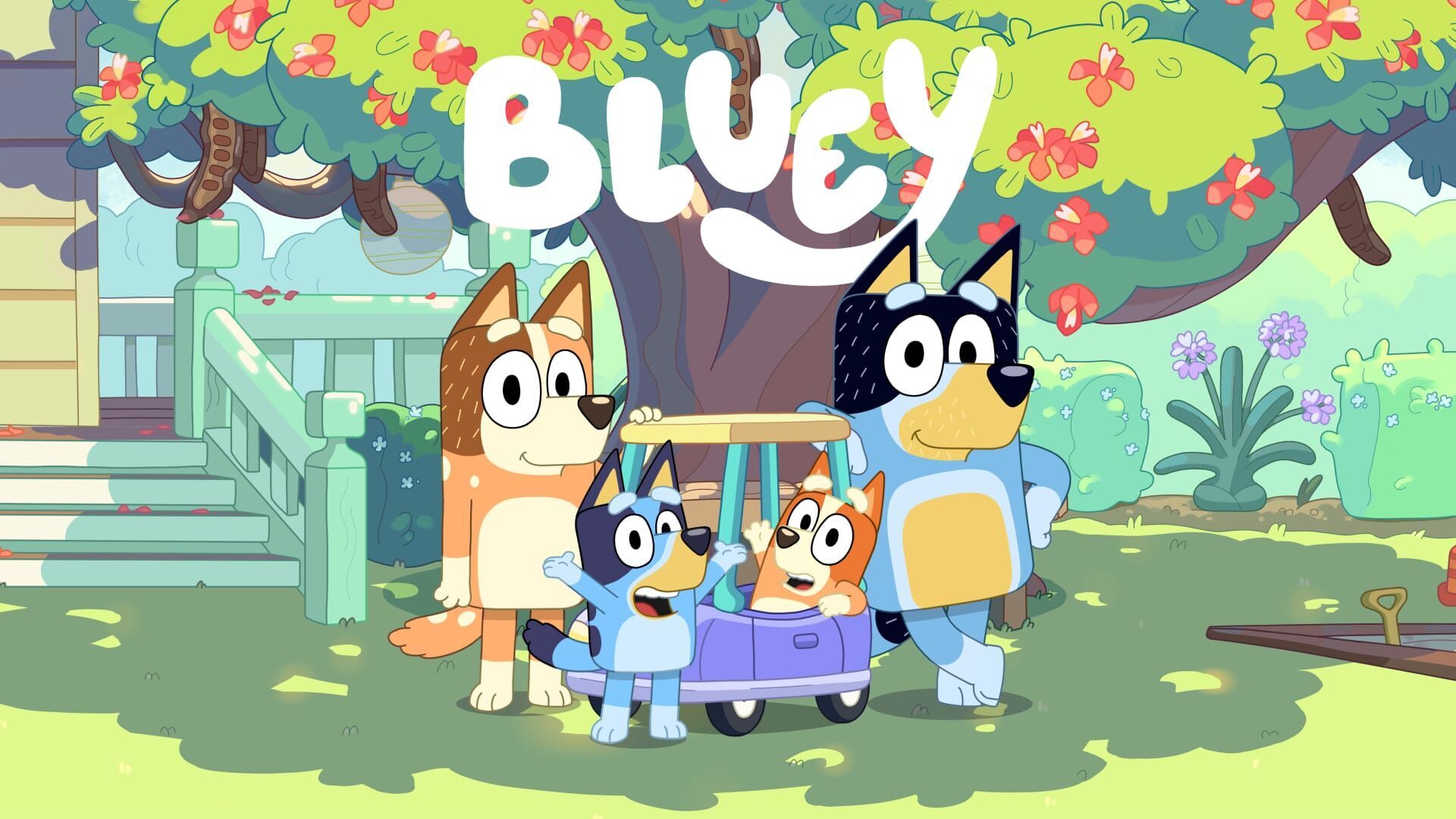 Vignette du programme télé Bluey
