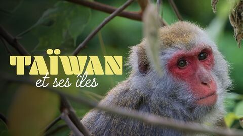 Vignette du programme télé Taïwan et ses îles