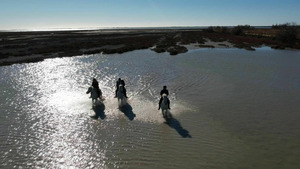 Vignette du programme télé Sale temps pour la planète (Camargue, à la croisée des eaux) S16 (1/4)