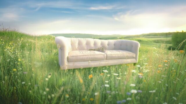 Vignette du programme télé L'amour vu du pré