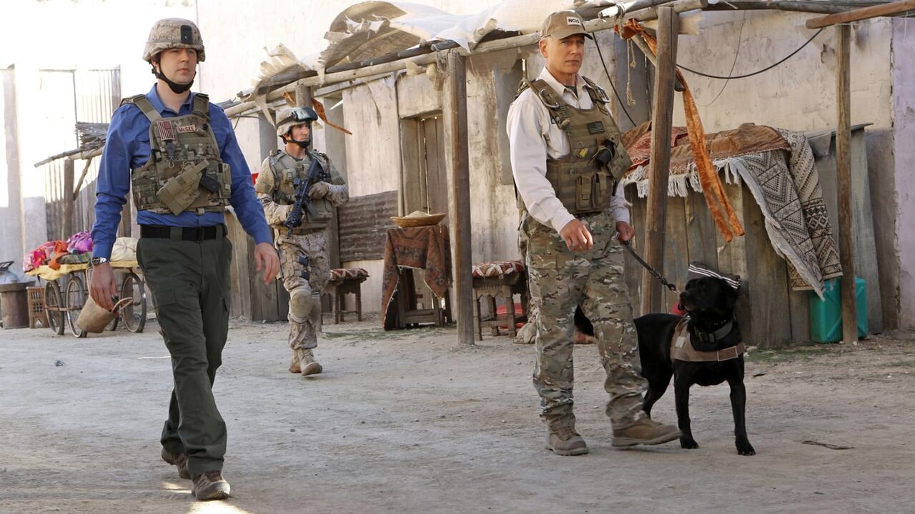 Vignette du programme télé NCIS