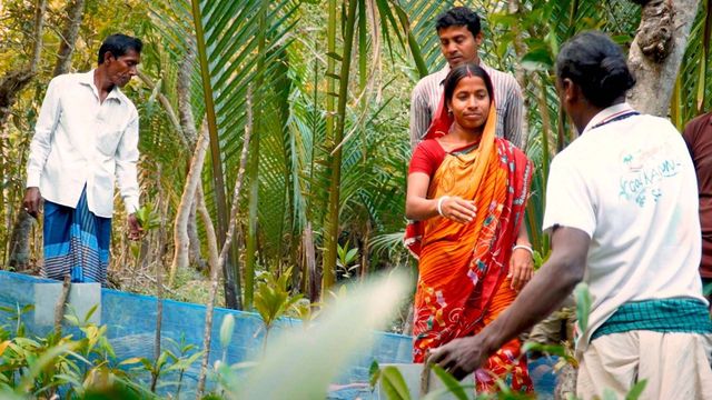 Vignette du programme télé Capturer le CO2 dans l'air : un moyen de refroidir la Terre ?