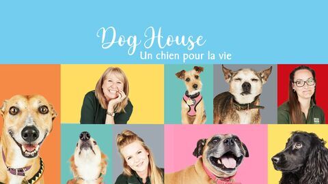 Vignette du programme télé Dog House : un chien pour la vie