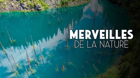 Vignette du programme télé Merveilles de la nature