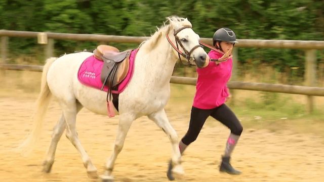 Vignette du programme télé Au galop ! - Saison 6