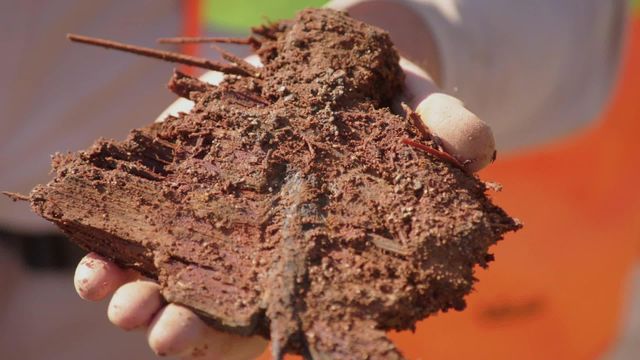 Vignette du programme télé Le mystère d'Oak Island - Saison 11