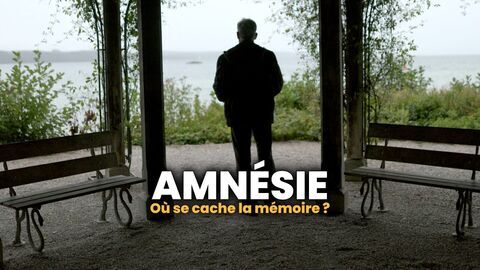 Vignette du programme télé Amnésie : Où se cache la mémoire ?