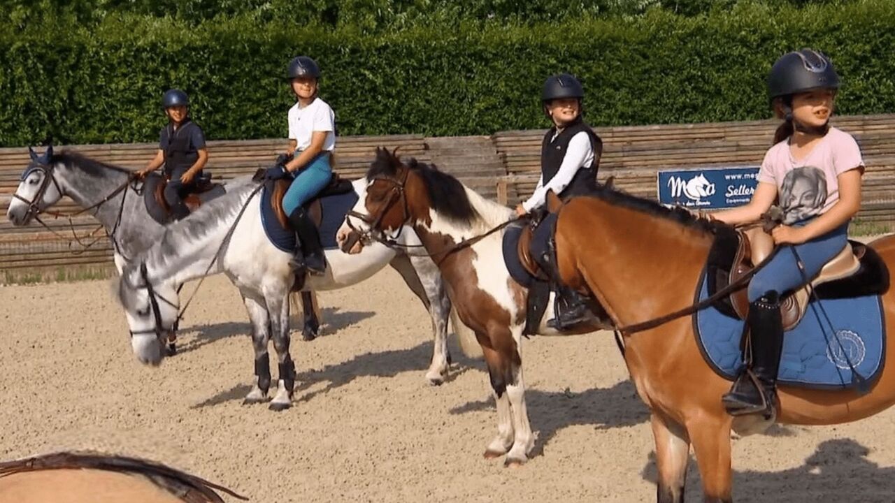 Vignette du programme télé Au galop !
