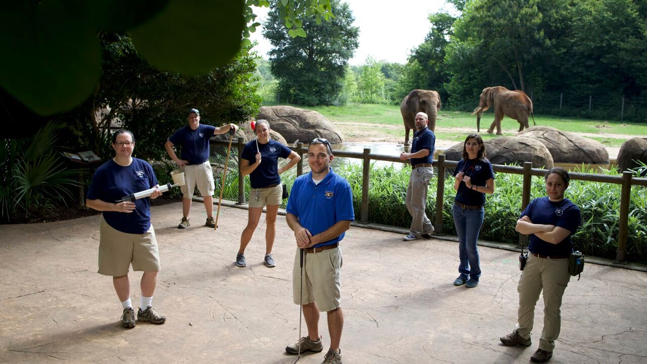 Vignette du programme télé Une saison au zoo