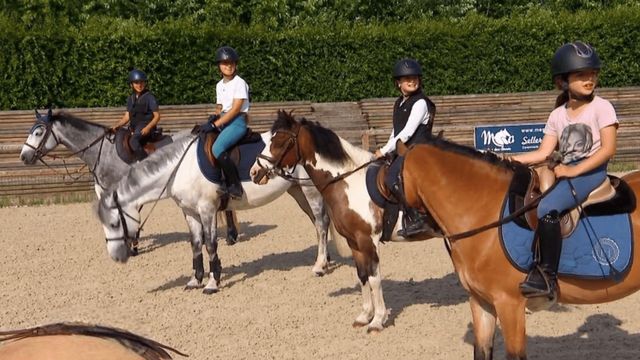 Vignette du programme télé Au galop ! - Saison 6