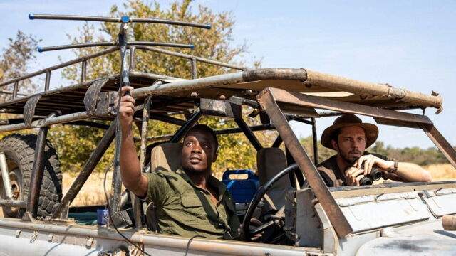 Vignette du programme télé Sur la piste des chiens sauvages d'Afrique