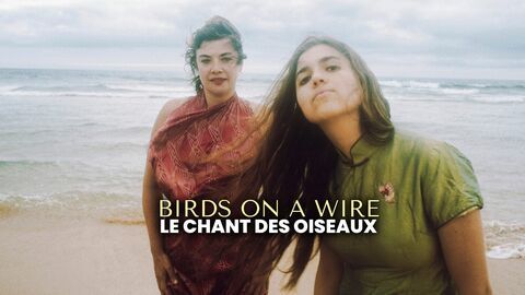 Vignette du programme télé Birds on a Wire - Le Chant des oiseaux