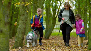 Vignette du programme télé Dog House : un chien pour la vie (L'évasion) S5 (n°10)